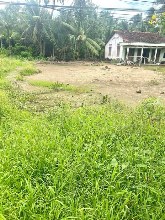 Bến tre: đất nền mặt tiền huyện lộ, ngang 7,m, sẵn thổ cư