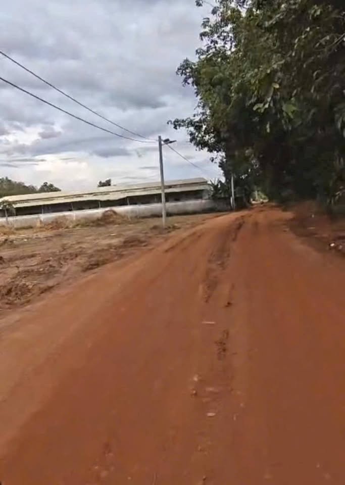 Cần bán gấp lô đất đầu tư tại An Điền, Bình Dương với diện tích 5x23m