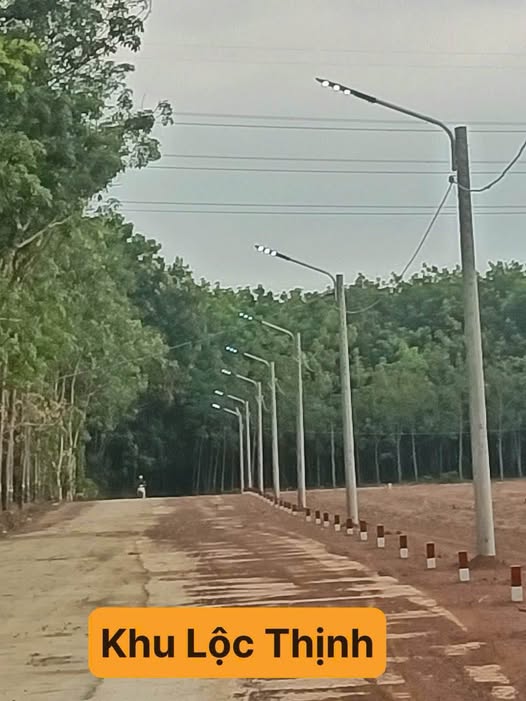 Đất Lộc Ninh giá siêu mềm cho nhà đầu tư đây