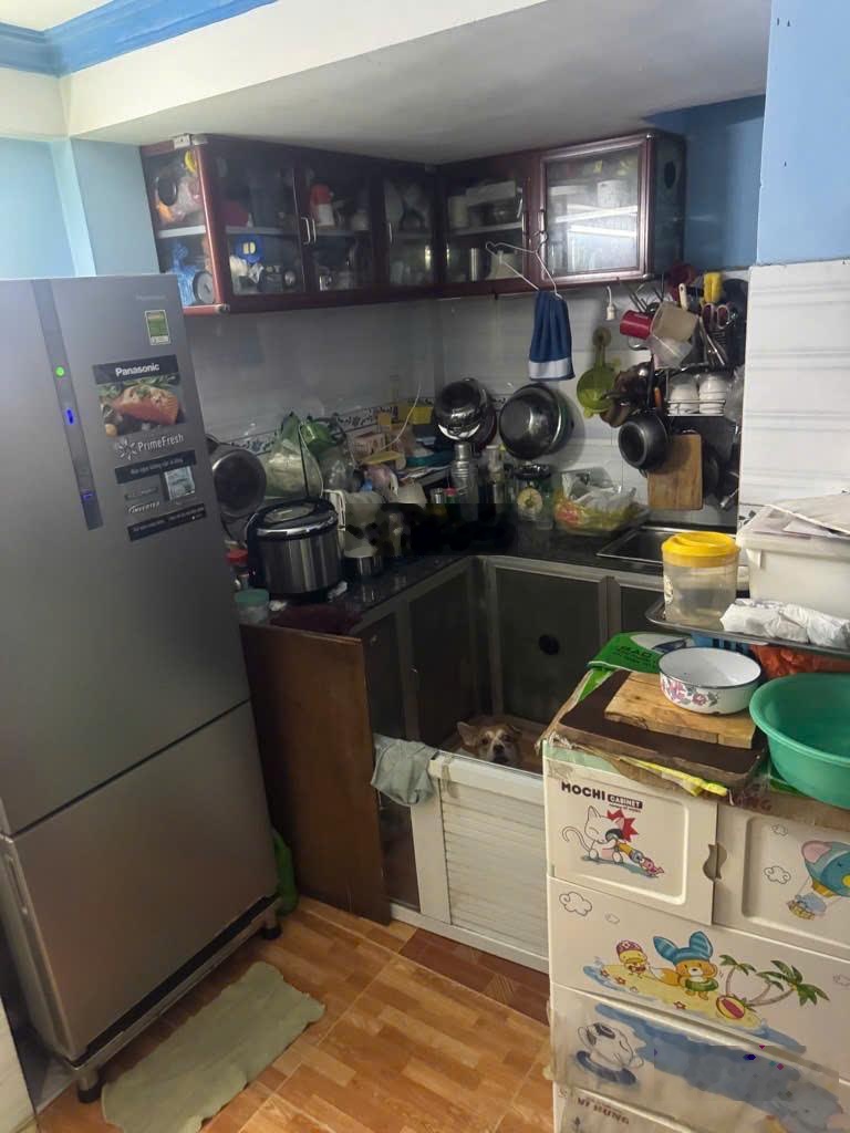 Lên sóng căn nhà Bùi Quang Là - Gò Vấp, DT 60m2 giá chỉ 4tỷ8