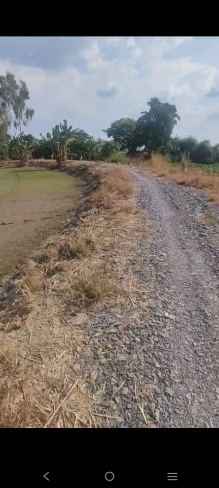 Đất vàng Sa Đéc 5.5 công lúa, mặt tiền 40m, tiềm năng lên thổ