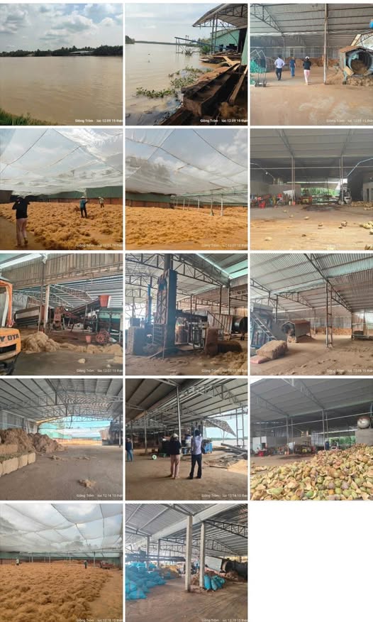 Nhà xưởng mặt tiền sông Hàm Luông, Bến Tre - giá giảm sâu chỉ còn 15 tỷ