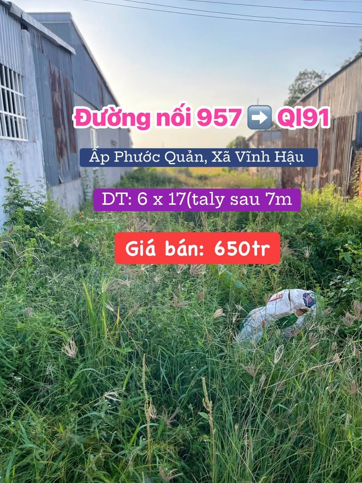 Bán đất nền 102m² tại Vĩnh Hậu, An Giang, sổ đỏ sẵn sàng, giá tốt