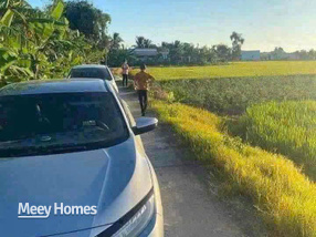 Đất Long An 1000m2, giá 1 tỷ, sổ đỏ sẵn sàng