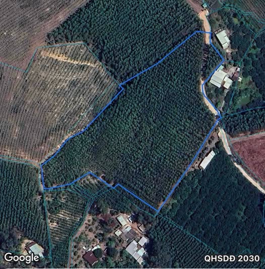 Rẫy xanh Tân An vườn ươm hạnh phúc, đầu tư sinh lời