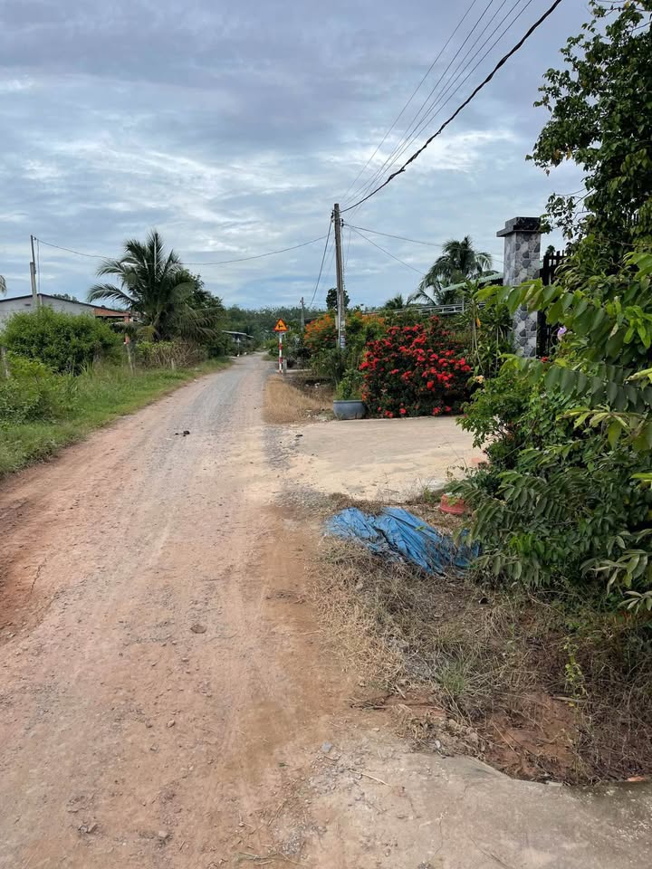 Chủ nhà đang cần tiền gấp nên quyết định hả 2 lô đất cực đẹp tại Ấp 2, Bàu Đồn, Gò Dầu, Tây Ninh