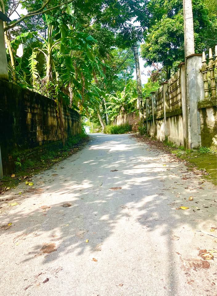 Bán đất thổ cư 102,6m2 tại Tam Dương, Vĩnh Phúc, đường ô tô tránh