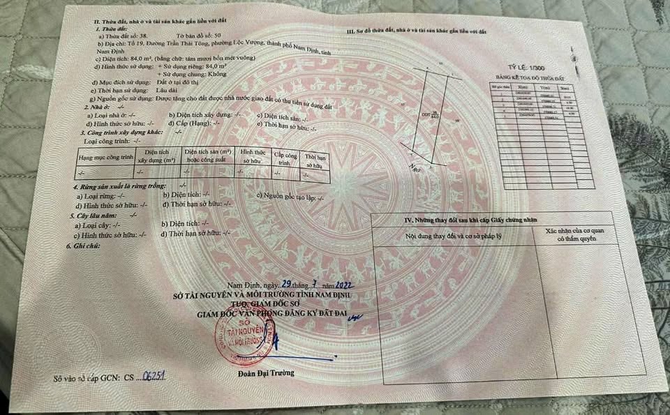 Siêu phẩm đất nền khu vực Trần Thái Tông đây ạ