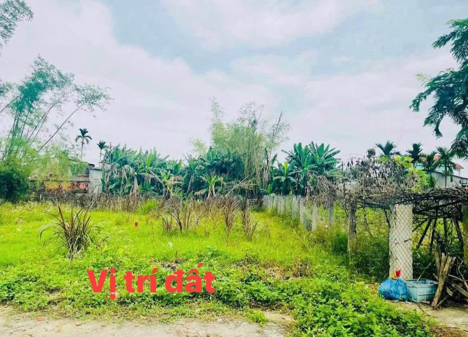 Đất vàng Điện Bàn - 190m2 sạch đẹp, dân cư sầm uất, giá hời