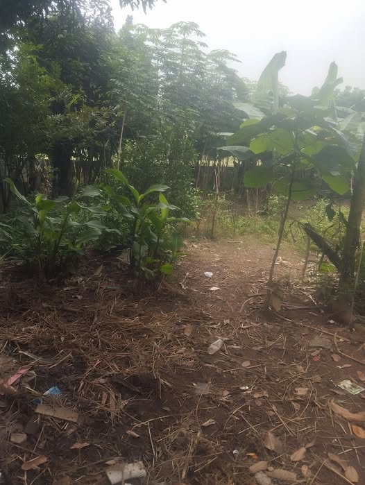 Bán đất 230m2 (50m2 đất ở) tại Phường Dân Chủ, Hòa Bình, giá 750 triệu