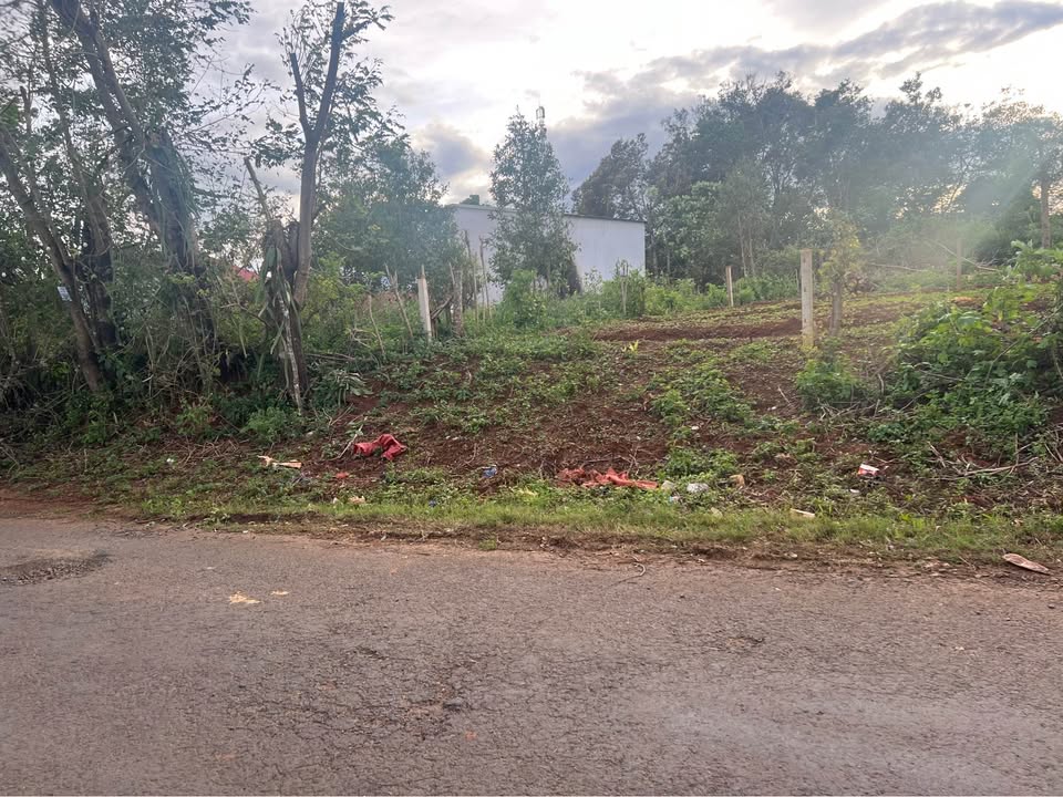 Mặt tiền Bùi Viện, đất vàng đối diện cafe phố, sẵn sàng xây dựng