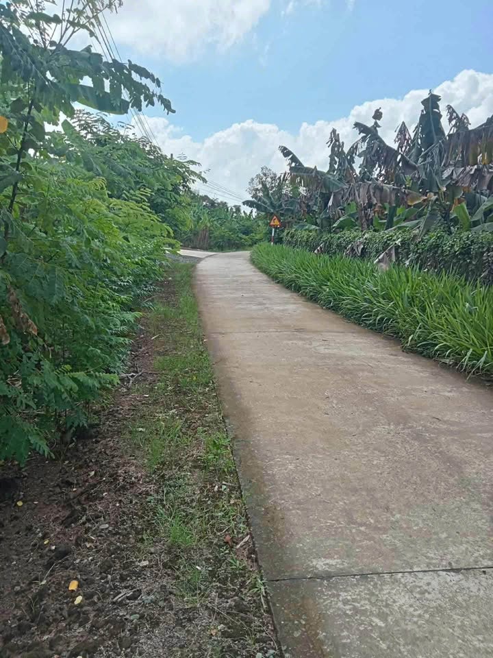 Tìm kiếm một mảnh đất "chất như nước cất" để thỏa sức sáng tạo