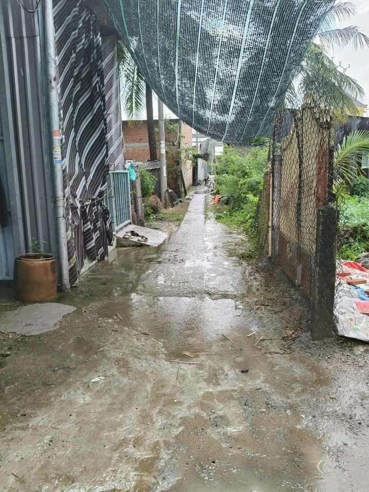 Nhà 300 củ, giấy tay xịn sò, An Giang ơi, alo