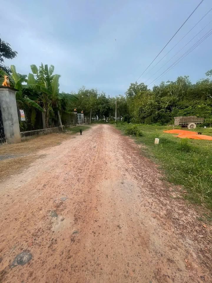 Bán đất thổ cư tại xã Bình Lương, huyện Châu Thành, tỉnh Tây Ninh