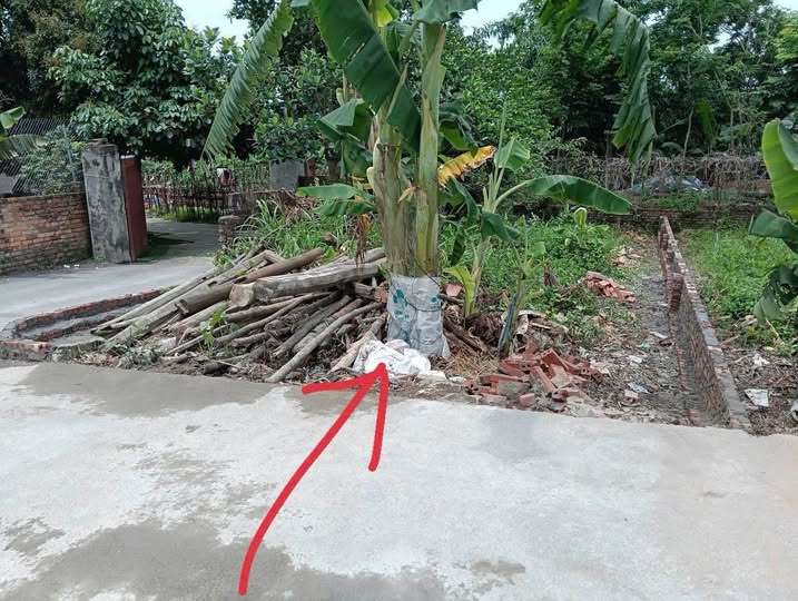 Mảnh đất Vĩnh Phúc 100m2, 2 mặt thoáng, đường nhựa, khu dân cư sầm uất