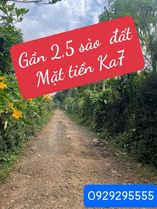 Đất rẫy 2.5 sào Ea Tu, Buôn Ma Thuột vườn trái cây trĩu quả, tiềm năng sinh lời đỉnh