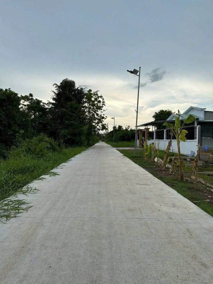 Đất lúa Hoà Phú, Châu Thành 300m2 thổ cư, đường xe tải, giá mềm