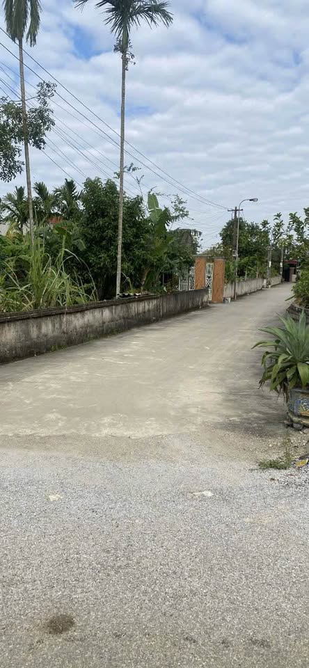 Đất thổ cư Thái Hoà, Triệu Sơn, Thanh Hoá, 800m2, vuông vắn, gần trường, chợ