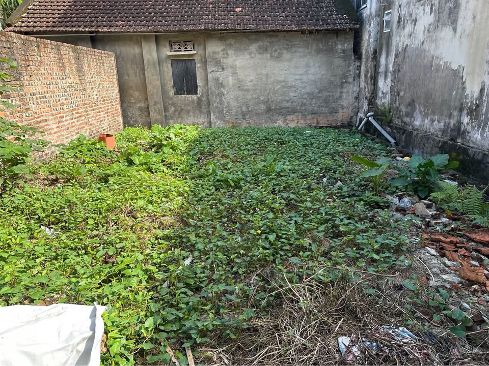 Cơ hội sở hữu ngay lô đất vuông vắn tại Hiệp Thuận, Phúc Thọ, Hà Nội với diện tích 78m2