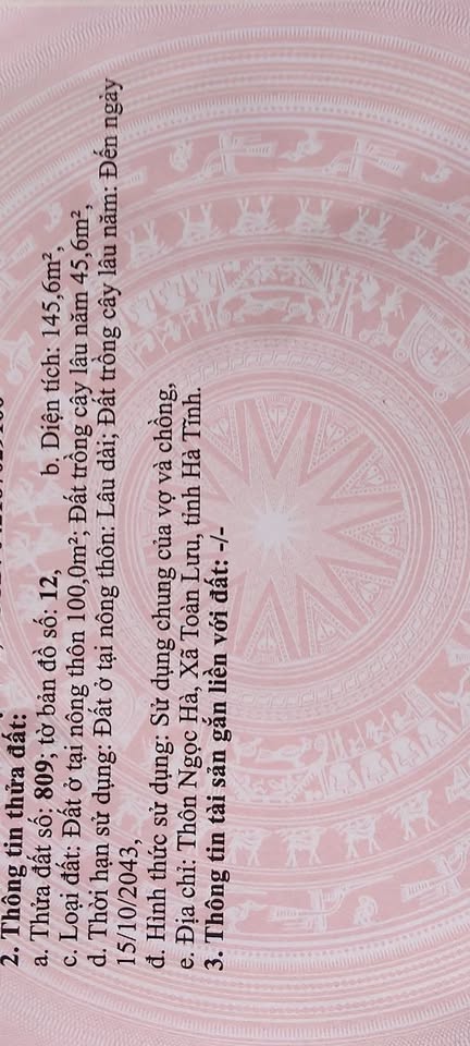 Đất Ngọc Sơn - Lộc đầu tháng, vượng khí an khang