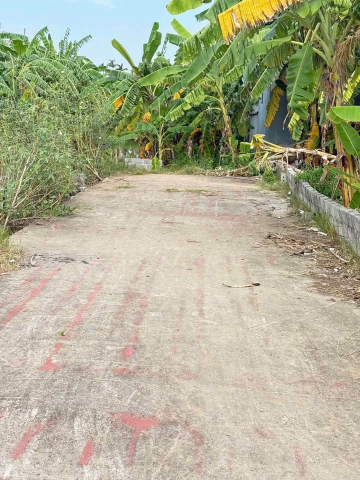 Lô đất đẹp diện tích 93.4m2, mặt tiền 5.5m, nở hậu cực đẹp, nằm trên tuyến 2 Phạm Văn Đồng, Đồ Sơn