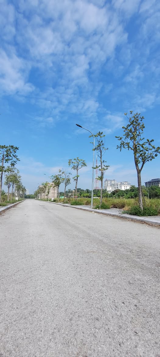 Đất LK18 Bắc Đầm Vạc, Vĩnh Yên 120m², 2 mặt đường, gần hồ, giá hời