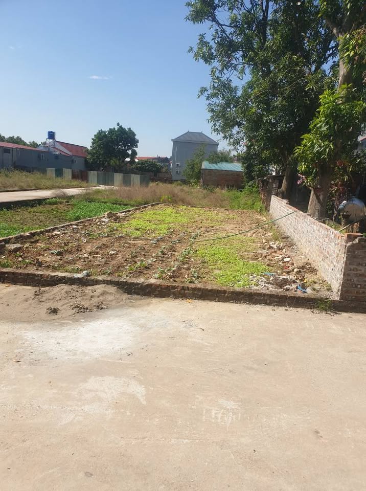 Đất Xuân Đồng, Sóc Sơn: 95m² vuông vắn, ô tô vào tận nơi, giá nhỉnh 2,7 tỷ