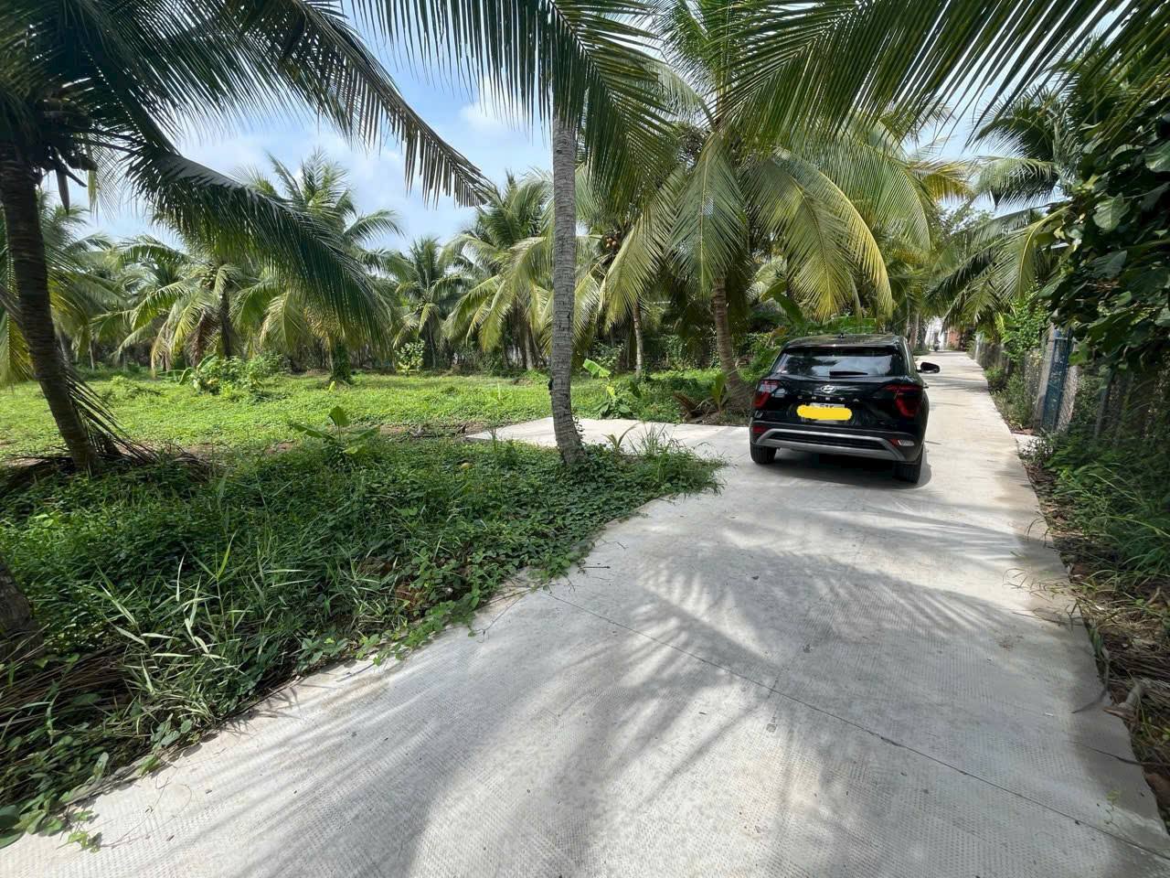 Chào mừng quý khách đến với mảnh đất An Phước, Bến Tre