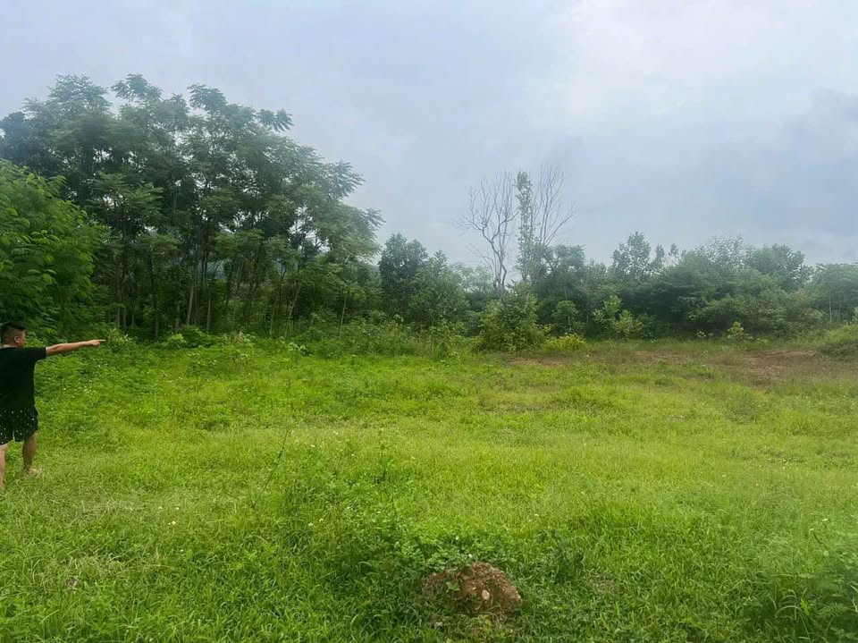 Bán gấp đất 3900m² Ngọc Đồng, Yên Lập, 2 mặt tiền