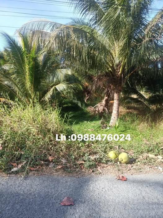 Chào mừng quý khách đến với chốn điền viên an lành tại Bến Tre