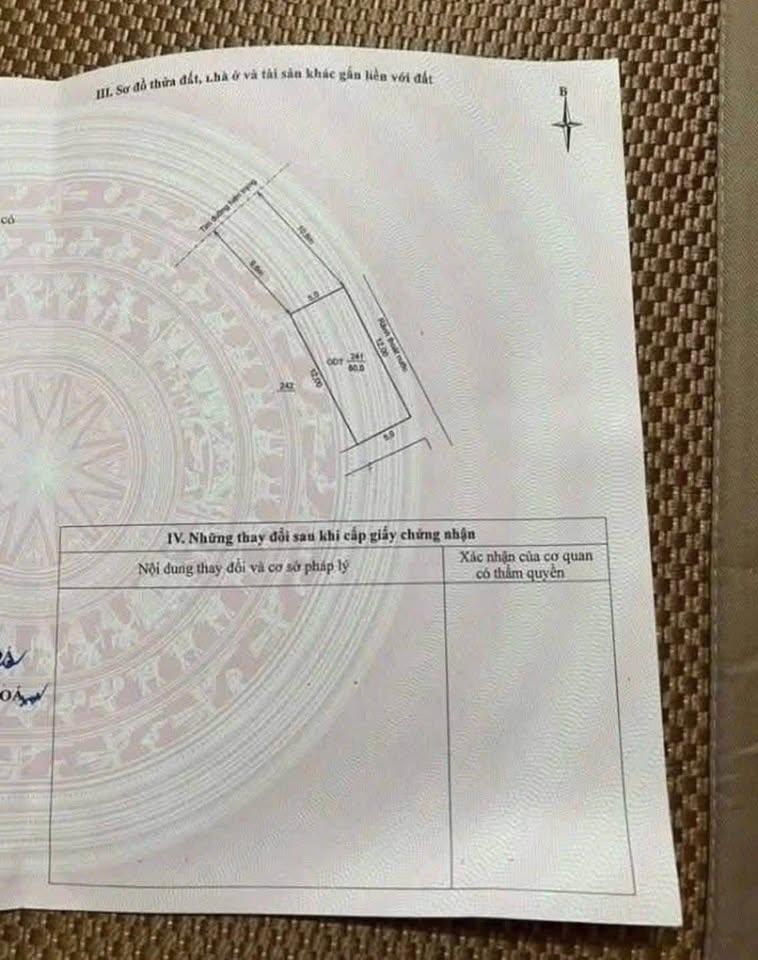 Đất vàng Hồ Đắc Di 60m² sổ đỏ, 100m² thực tế, giá hời trong tuần