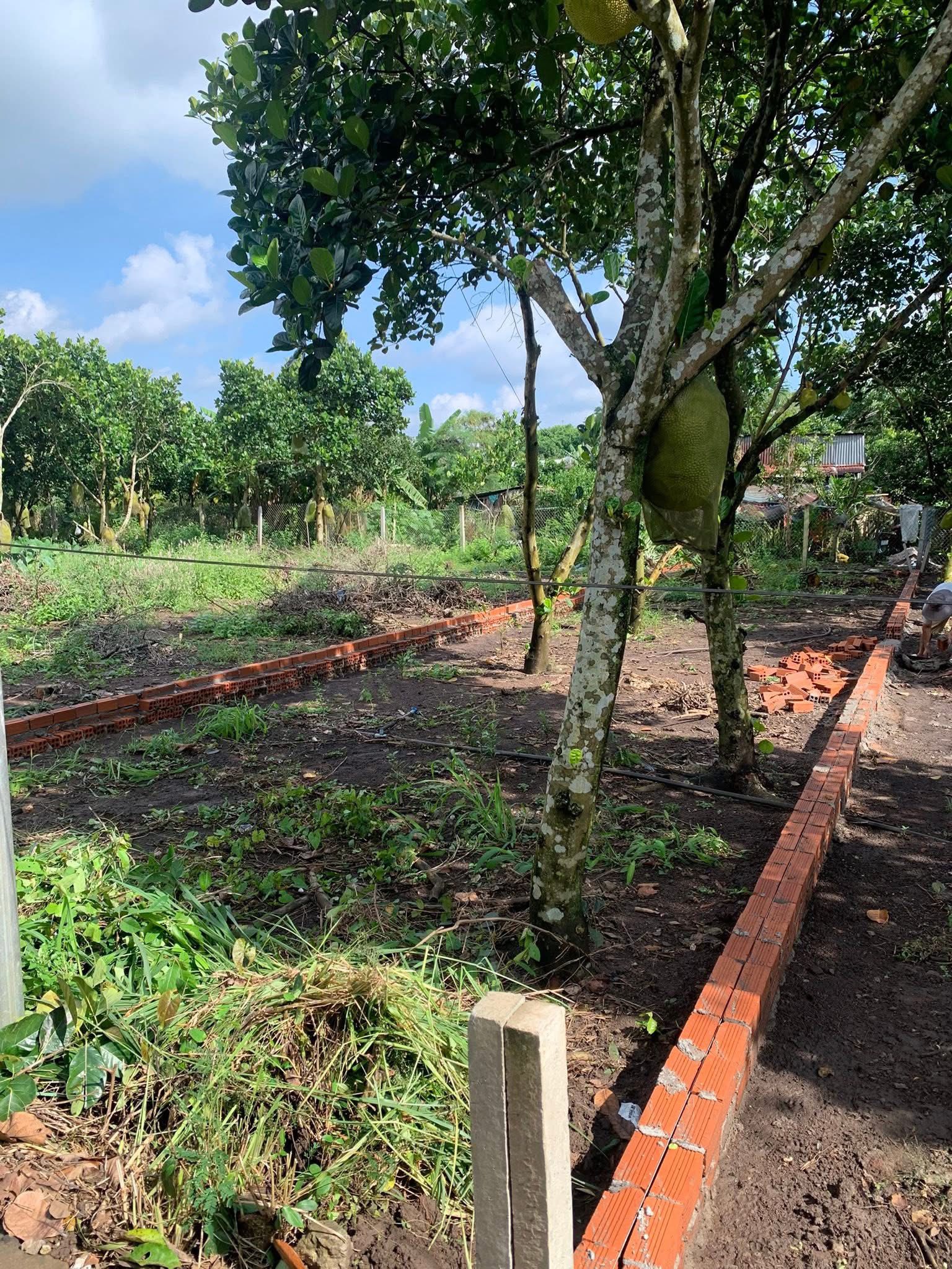 Đất vàng Bảo Vinh 120m² sổ riêng, giá chỉ 750 triệu, vay 650 triệu