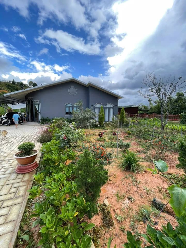Nhà Đà Lạt 616m² sổ hồng chính chủ, sân rộng, gần trung tâm