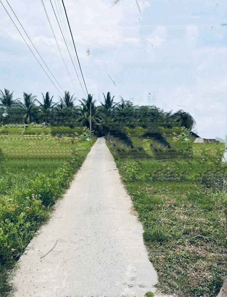 Đất thổ cư Bình Đại, Bến Tre, giá rẻ bất ngờ, chỉ 150 triệu