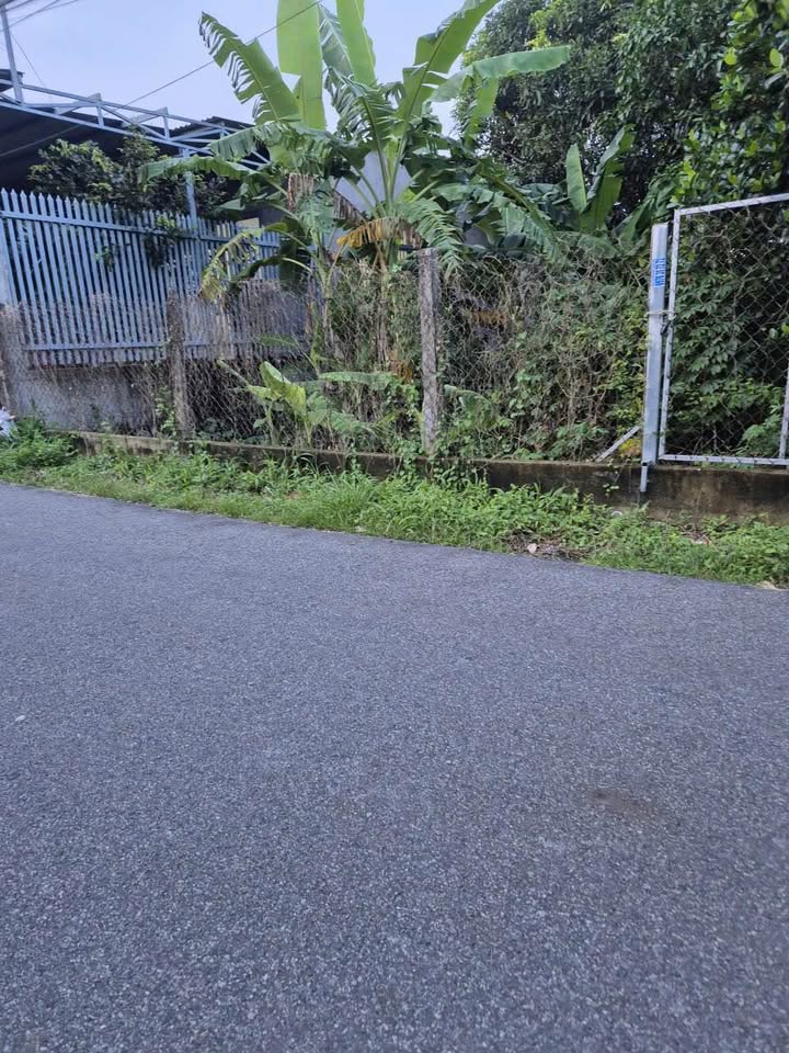 Lô đất biệt thự 10m x 26m, 100m2 thổ cư, cách vòng xoay Tân Hưng 150m