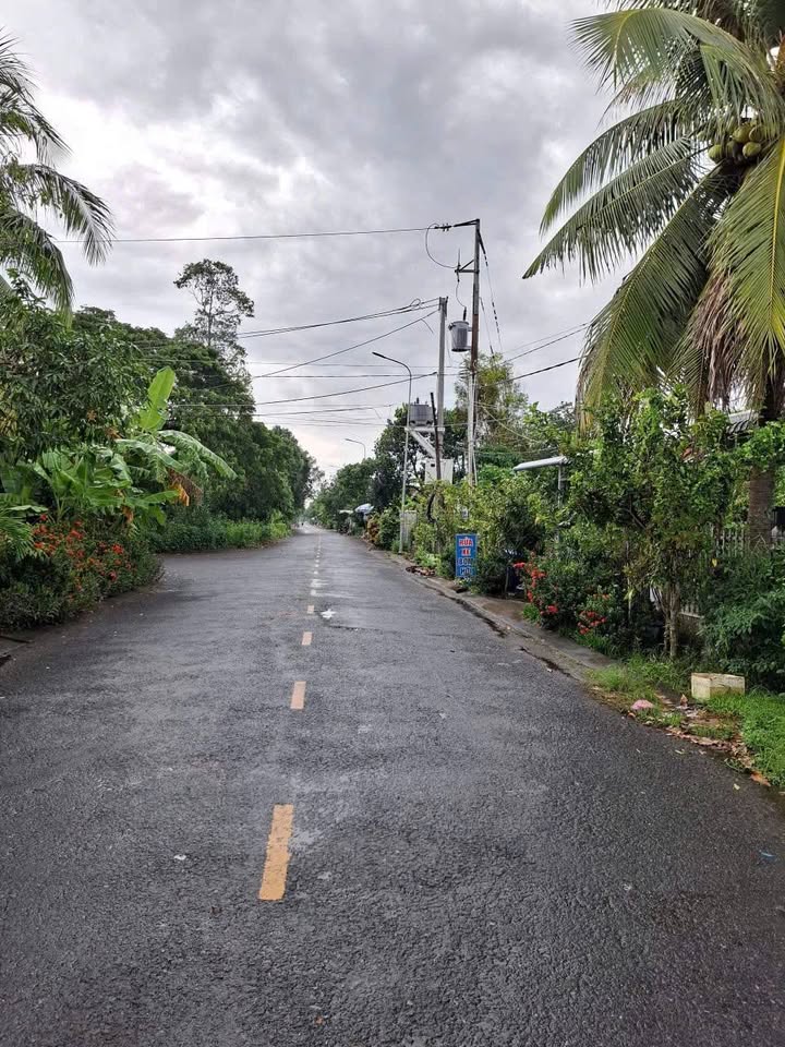 Nhà cấp 4 kiên cố tọa lạc tại mặt tiền đường Thống Linh, xã Mỹ Thọ, Đồng Tháp