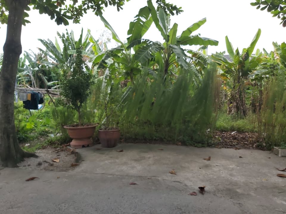 Bán đất 127m² khu Việt Kiều Phú Mỹ, Bà Rịa Vũng Tàu, đường ô tô