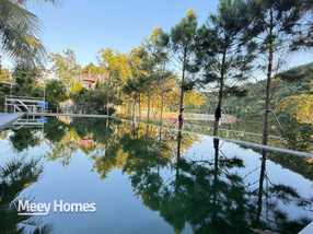 Siêu phẩm đất nền 1000m2 (150m2 thổ cư) tại Yên Bài, Ba Vì, Hà Nội