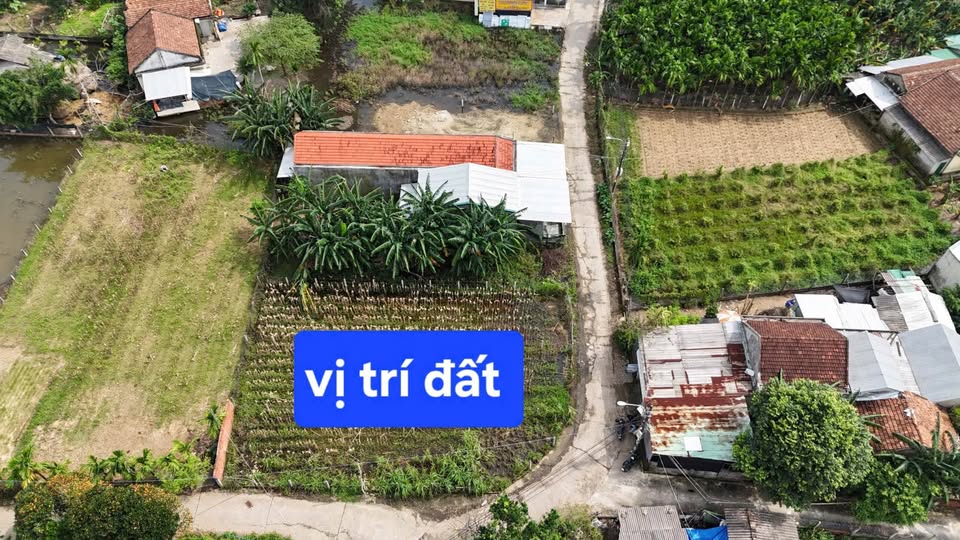 Đất Nghĩa Dõng 160m² hướng Nam, đường 4m, giá chỉ 700 triệu