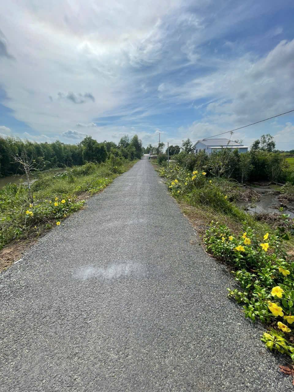 Chào mừng đến với cơ hội vàng để sở hữu một nền đất tuyệt vời tại Tân Hoà Tây, Tân Phước, Tiền Giang