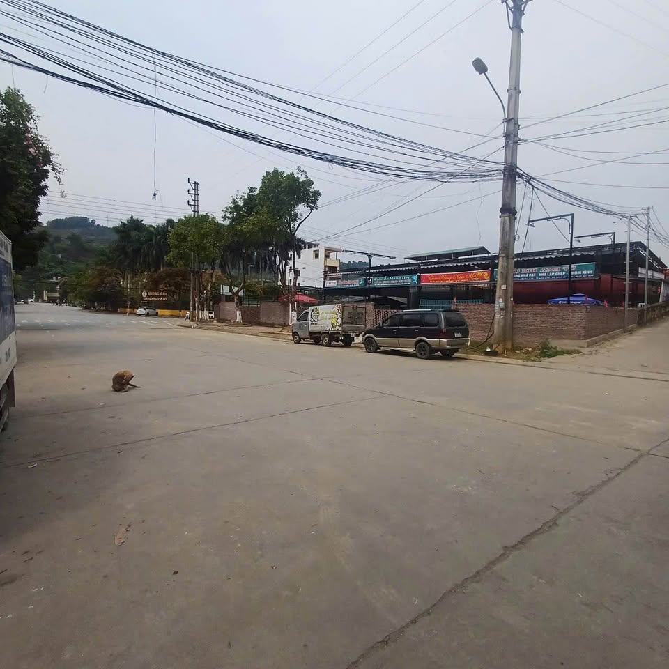 Siêu phẩm đất nền "vàng" ngay ngã tư sầm uất đường Vĩ Kim và Lê Thanh, phường Bắc Cường