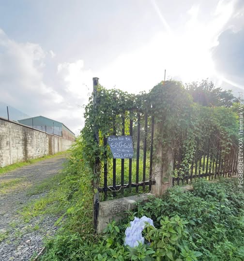 Đất vàng Bảo Vinh 514m2, 2 mặt tiền, sổ đỏ trao tay, giá chỉ 950 triệu