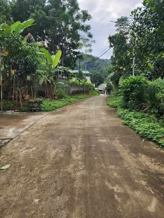 Bán đất mặt tiền 4m tại Xuân Thủy, đường thông, dân cư đông đúc