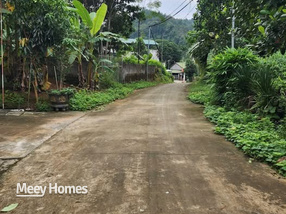 Bán đất mặt tiền 4m tại Xuân Thủy, đường thông, dân cư đông đúc