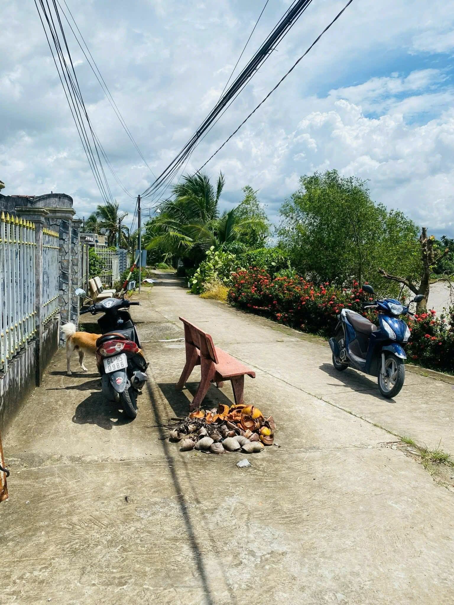 Tọa lạc tại Phường Bình Minh, Vĩnh Long, ngôi nhà này mang vẻ đẹp cổ điển và sự ấm cúng của một tổ ấm đích thực