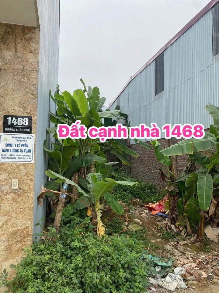 Chủ nhà thiện chí bán nhanh lô đất cực đẹp tại mặt tiền Trần Phú, thị xã Sa Pa, tỉnh Lào Cai