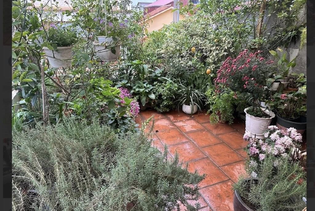 Nhà 90m2 Nguyễn Khánh Toàn, sân vườn 4 tầng, kinh doanh đỉnh