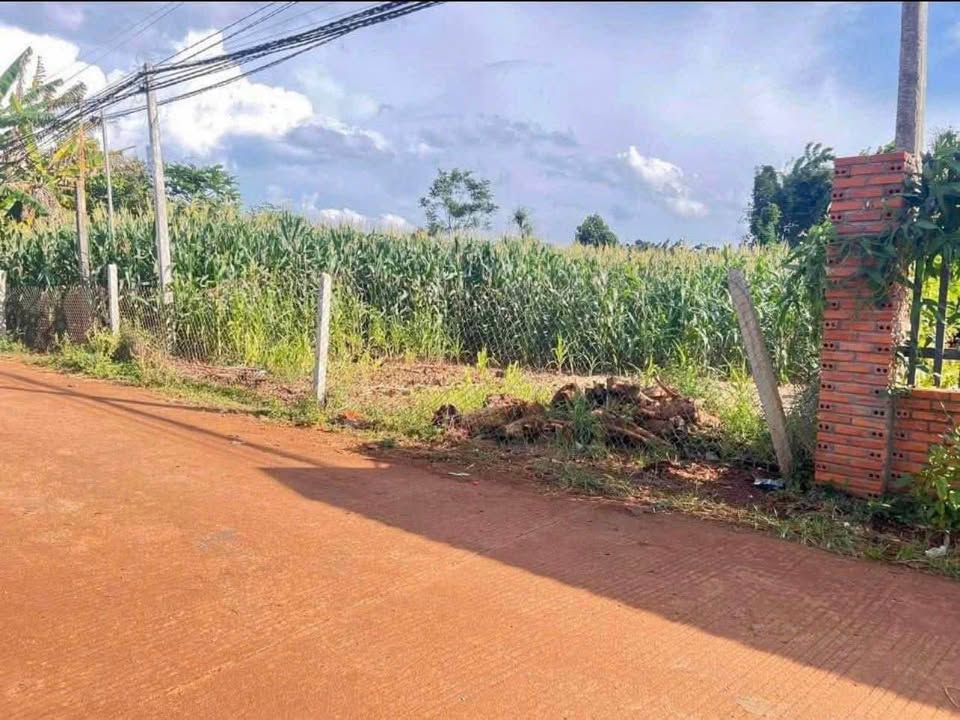 Bán đất 150m2 hẻm cấp 1 TL8, gần Đại học Y Dược, giá tốt