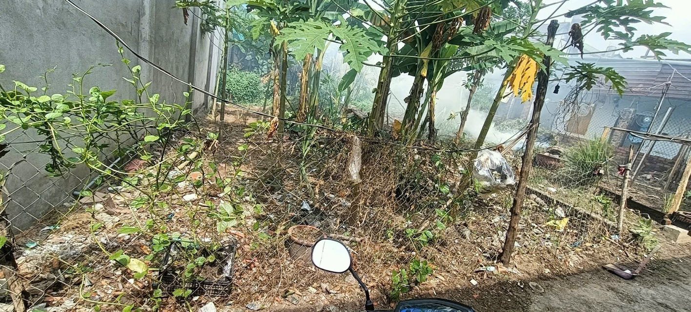 Mảnh đất vàng 126m2 tại Thuận An, Bình Dương cơ hội đầu tư sinh lời