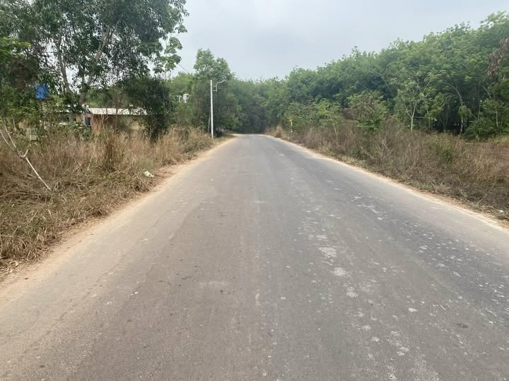 Cần bán lô đất vàng tại Long Nguyên, Bàu Bàng, Bình Dương, với diện tích 10m x 23m, thổ cư 100%